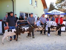 2019_ausstellung polling_775